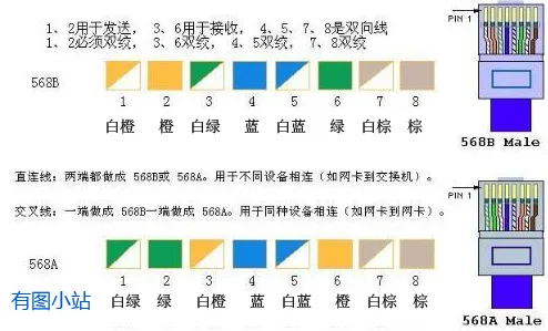 568B 与 568A 的色序对照表：上行按 1 至 8 依次列白橙、橙、白绿、蓝、白蓝、绿、白棕、棕，下行列白绿、绿、白橙、蓝、白蓝、橙、白棕、棕；两行之间注明直通线与交叉线各用在何处，右侧画出水晶头正视图，图角有“有图小站”水印